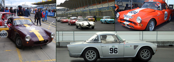 Other cars competing in the Historic Long Distance Cup